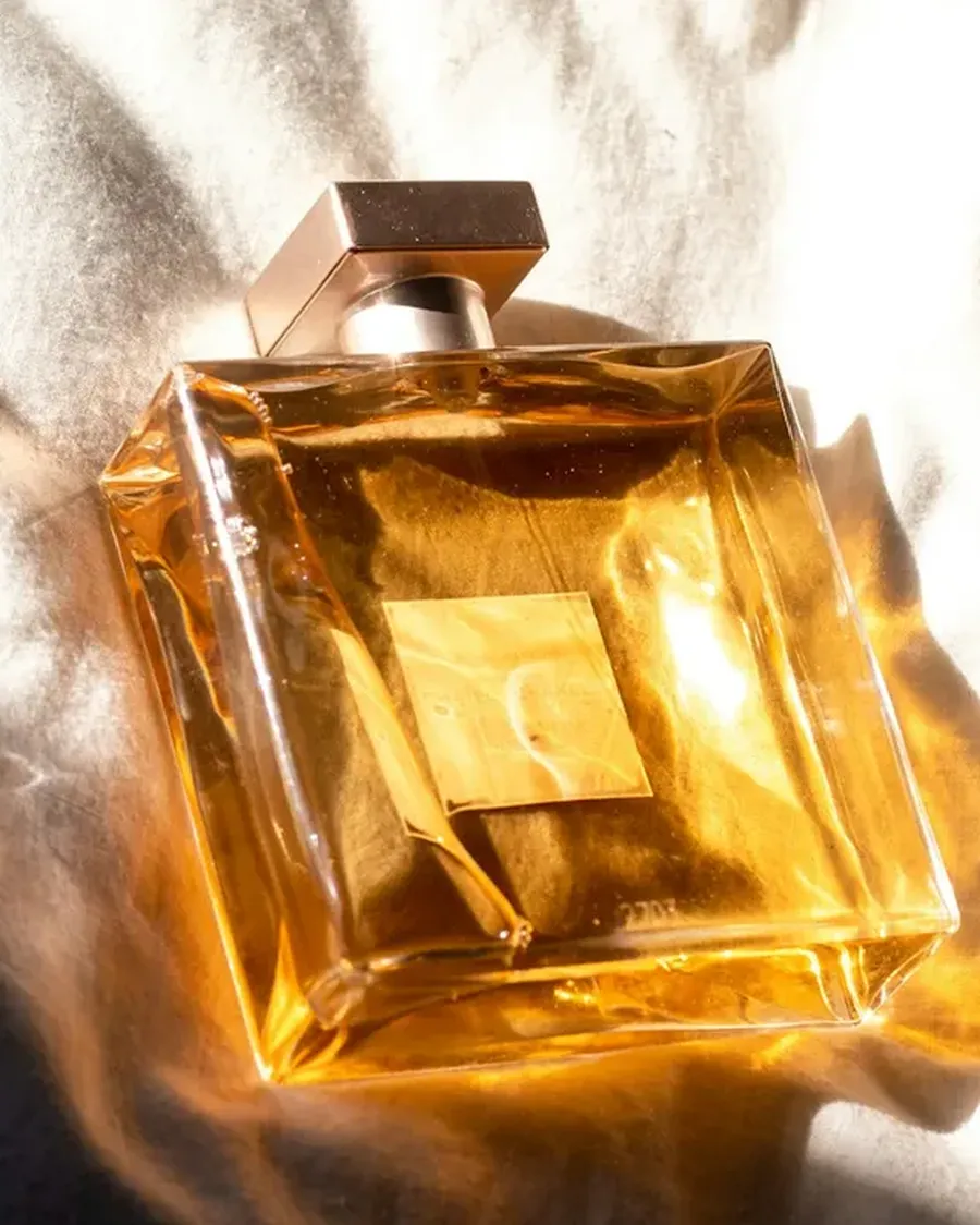 Ambre Solaire, photo 2