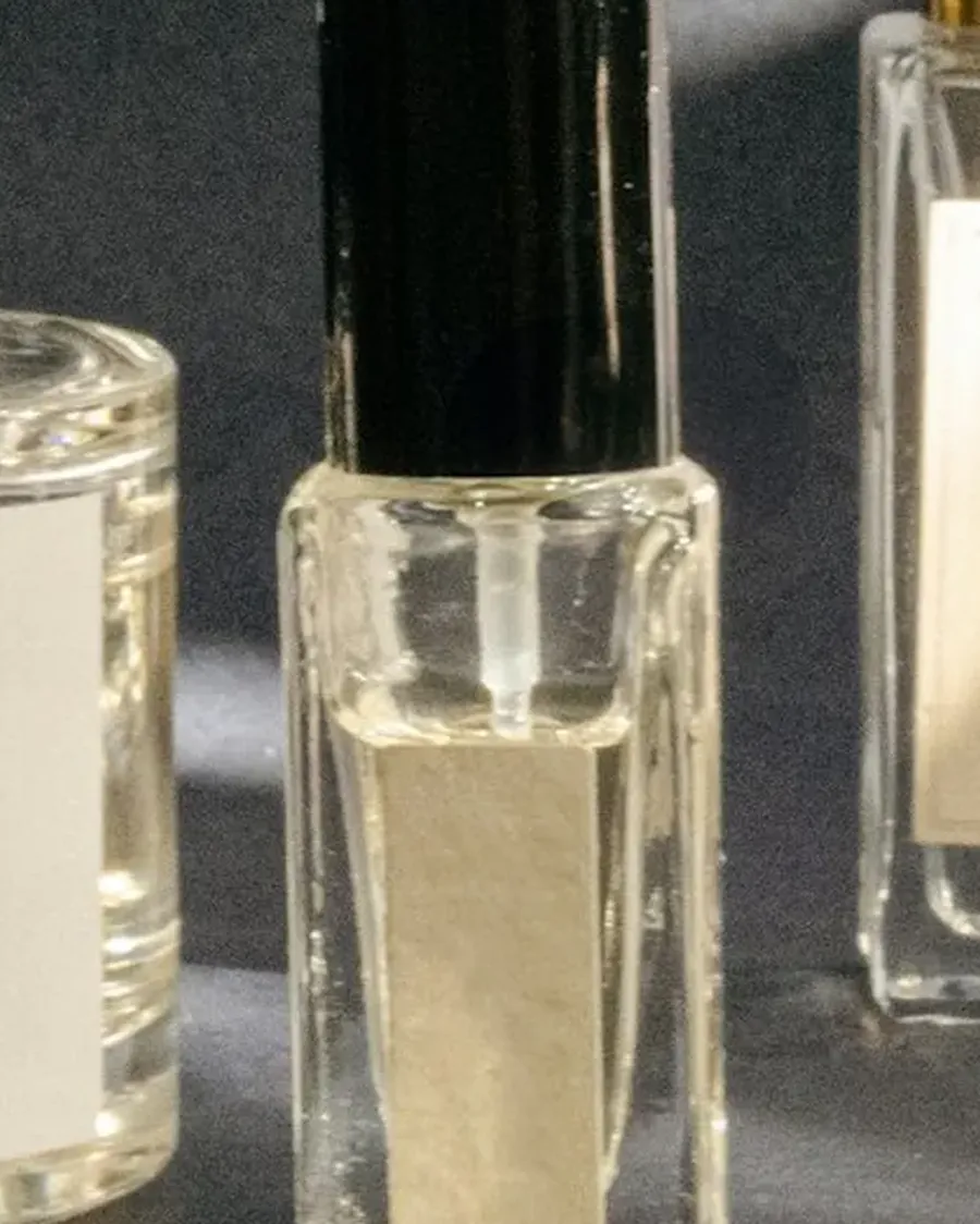 Cuir Baobab, photo 2