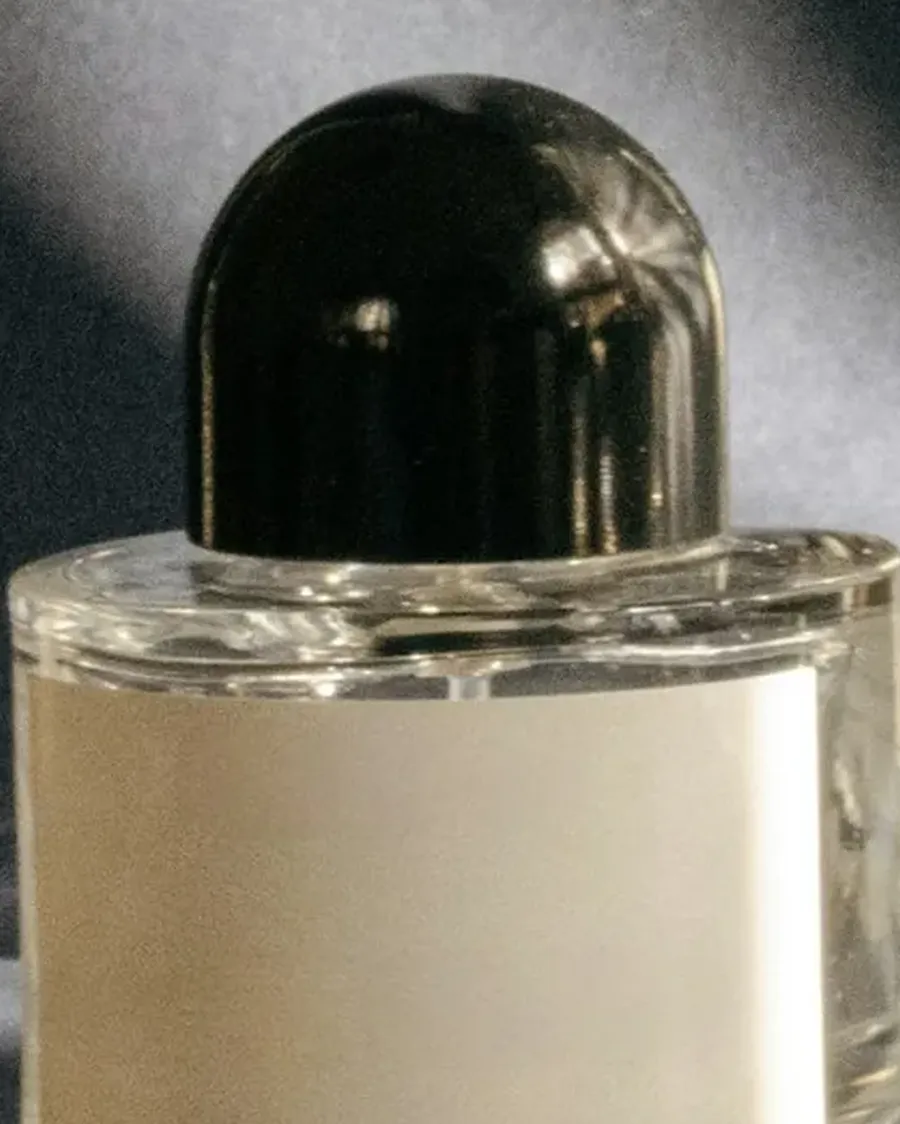 Figue & Thé Noir, photo 2